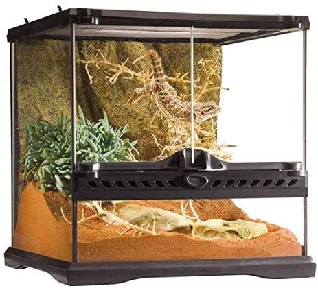 Amazon Com Exo Terra Glass Reptile Terrarium 12 By 12 By 12