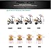 SeaKnight Rapid Saltwater Spinning Reel, 4.7:1,6.2:1 High Speed, Max Drag 33Lbs, Smooth Fresh and Saltwater Fishing Reel