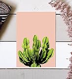 Minimalist Cactus, Minimalist Print, Cactus Print, Modern Print, Art Print, Modern Art, Cactus, Pink, Green, Wall Art, Cactus Photography, Southwest Art Print, Cacti, 8x10 inch