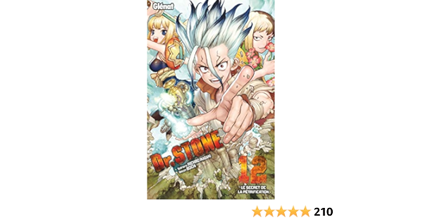 Amazon Com Dr Stone Tome 12 French Edition Ebook Inagaki Riichiro Boichi Kindle Store