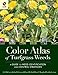 Color Atlas of Turfgrass Weeds: A Guide to Weed Identification and Control Strategies