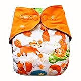 EcoAble Baby Charcoal Bamboo All-In-One AIO Cloth Diaper w/ Pocket, Size 10-30Lb (Forest)