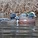 Avery GHG Hunter Series Life Size Wigeon Waterfowl Floating Hunting Decoys (6-Pack) | Ultra-Realistic Carvings and Paint Schemes | 60/40 Dura-Keel Design | 4 Drakes, 2 Hens - 73043