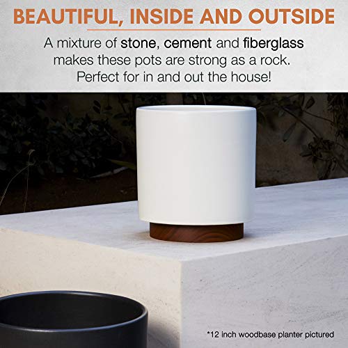 Fox & Fern New 10" Plant Pot with Walnut Wood Base - Perfectly Fits Plant Stand - Drainage Plug - Outdoor Indoor - Matte White