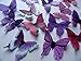 24 PURPLE & PINK Small 1.75