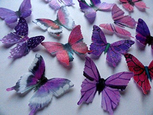 24 PURPLE & PINK Small 1.75