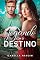 Livro JOGANDO COM O DESTINO