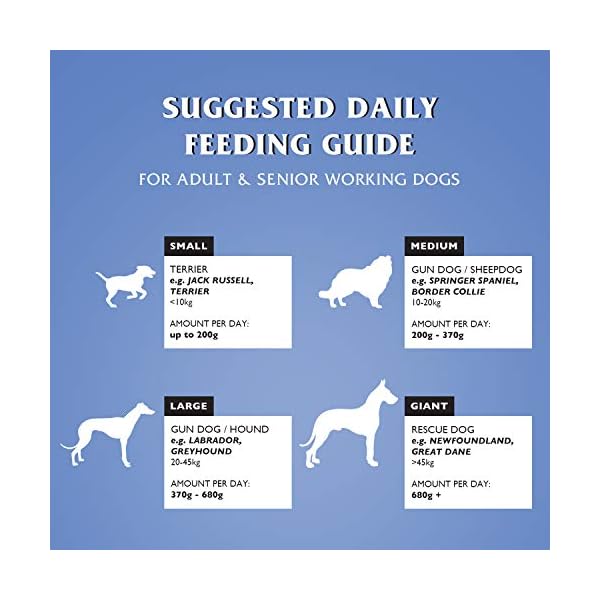 Dr John Silver Dry Dog Food 15kg - Chicken with Vegetables - Complete Dog Biscuits 15kg - Senior and Adult Dog Food for…