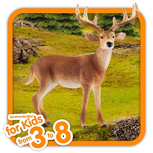 schleich 14818 Weißwedelhirsch, ab 3 Jahren, WILD LIFE - Spielfigur, 11 x 5 x 10 cm – Bild 3
