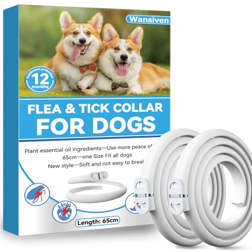 Collar antipulgas para Perros, Impermeable antipulgas y parásitos, 12 Meses de protección 65 cm (Azul-1p) (Azul-2p)
