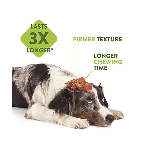 Whimzees-Natural-Dental-Dog-Chews-Long-lasting-Variety-Box-Mixed-Shapes-Medium-28-Pieces WHIMZEES By Wellness Variety Box, Mixed Shapes, Natural and Grain-Free Dog Chews, Dog Dental Sticks for Medium Breeds…