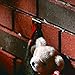 Holiday Joy - Christmas Brick Clips for Hanging Outdoors - 4 Pack Brick Hooks to Hang Wall Decor, Planters, Pictures & Wreaths up to 25 Pounds - Brick Hangers Fits 2-1/8 to 2-1/3 Inch Bricks