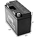 YT9B-4-BS Battery Compatible with Yamaha 700 YFM70R Raptor 2006-2012 Sealed Maintenance Free 12V Battery High Performance SMF OEM Replacement Powersport Motorcycle ATV Snowmobile Watercraft