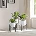 Sorbus Plant Stand Mid Century Style Flower Pot Holder, Planter, Modern Home Décor for Houseplants, Plant & Pot NOT Included, Black (10 inch)