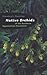 Native Orchids of the Southern Appalachian Mountains by Stanley L. Bentley