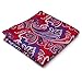 Shlax&Wing Pattern Red Blue Pink Handkerchief Mens Ties Silk Hanky