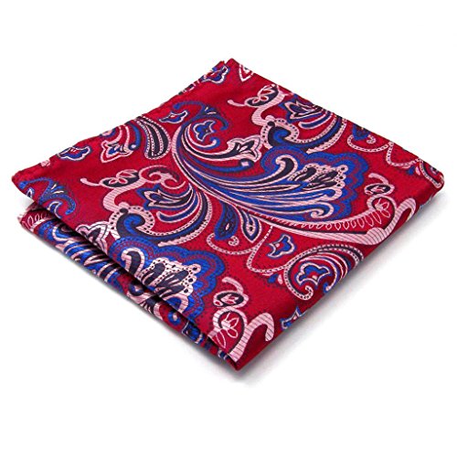 Shlax&Wing Pattern Red Blue Pink Handkerchief Mens Ties Silk Hanky