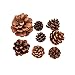 Yiphates 10PCS Christmas Tree Hanging Balls Pine Cones , Pine cone Xmas New Year Holiday Party Decoration