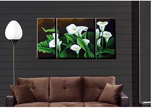 LICSE Paint by Numbers Kits for Adults Kids, 3 Pieces Pack Calla Lily Quiet Elegant Frameless - 24x48 inches