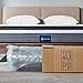 S SECRETLAND Queen Mattress, 14 inch Individually Wrapped Coils Innerspring Mattress, Pocket Spring Hybrid Mattresses with CertiPUR-US Certified Foam, Plush Yet Supportive
