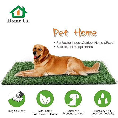 Home Cal Artificial Grass Rug Series Landscape Outdoor Decorative Synthetic Turf Pet Dog Area with Neat Edge 3cm 5'x10' Autumn Grass