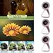 HD Wide Angle Lens LESHP 3 in 1 Flash light with 15 X Macro Lens & 0.4-0.6 x Super Wide Angle Lens, Clip on Cell Phone Lens for iPhone 7, 6s, 6, 5s, Samsung & Most Smart-phones