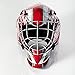 Franklin Sports Detroit Red Wings NHL Hockey Goalie Face Mask - Goalie Mask for Kids Street Hockey - Youth NHL Team Masks for Kids