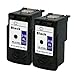 Remanufactured Ink Cartridge Replacement for Canon PG210xl 2973B001 (2 Black 2 Pack)