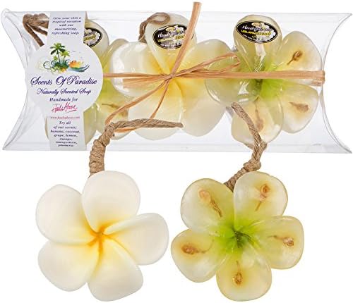 Plumeria Scented Flower Soaps– “Scents Of Paradise” Handmade Natural Soaps – 3 Piece Gift Set – With Coconut Oils &amp; Fruit &amp; Flower Fragrances– Paraben &amp; Phthalate Free By Heels Above