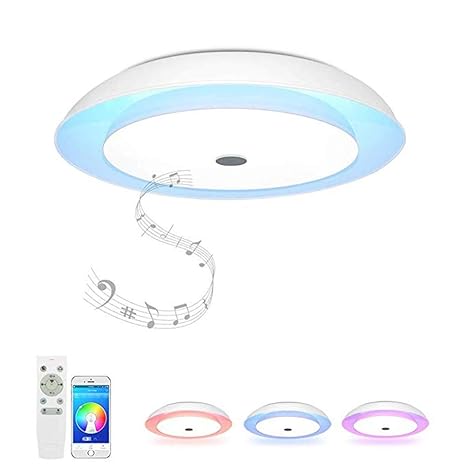 Lastaill Ceiling Light Ambient Light 48w 65cm With Remote