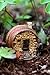 Top Collection Enchanted Story Garden and Terrarium Barrel Fairy House Outdoor Decor