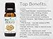 BioFinest Angelica Oil - 100% Pure Angelica Essential Oil - Boost Immune System and Strength - Premium Quality - Therapeutic Grade - Best For Aromatherapy - FREE E-Book (10ml)