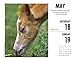 What Horses Teach Us 2019 Box Calendar