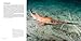 Sharks: Ancient Predators in a Modern Sea