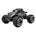 1/8Th EP Mad Beast Monster Truck Racing Edition Ready to Run w/ 540L Brushless Motor/ ESC/ Lipo Battery (Black/Silver)CHARGER NOT INCLUDED