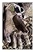 Kryptek Men's Krypton Cool Weather Hunting Glove with Touch Screen Compatibility, Highlander - L