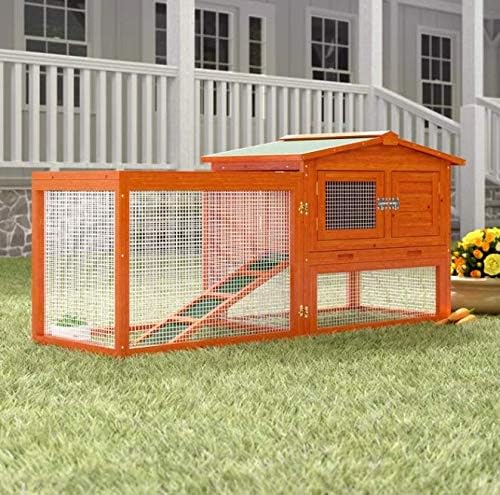 rabbit hutch for multiple rabbits