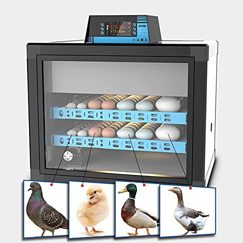 FGVDJ 160 Eierinkubator Automatische Heimzucht Brutmaschine Intelligente Hühner Ente Gans Taubenei Brutmaschine – Bild 4