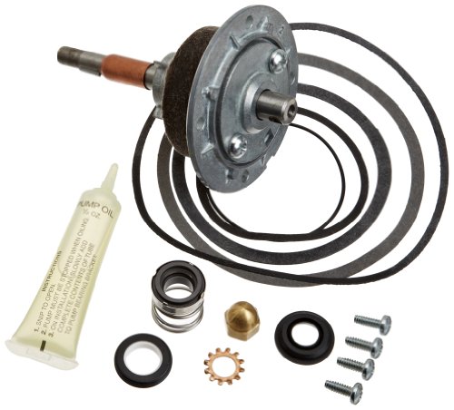 Pentair A2010100 Shaft and Bearing Pump Module Replacement MT Commercial Pool Heater