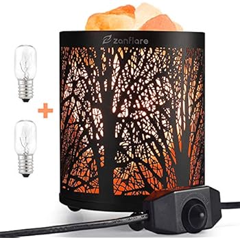 Salt Lamp, Natural Himalayan Salt Lamp, Zanflare Salt Night Light in Forest Design Metal Basket with Dimmer Switch, Holiday Gift