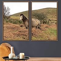 2 Piece Framed Canvas Wall Art Horse Canvas Prints Home Artwork Decoration for Living Room,Bedroom - 16