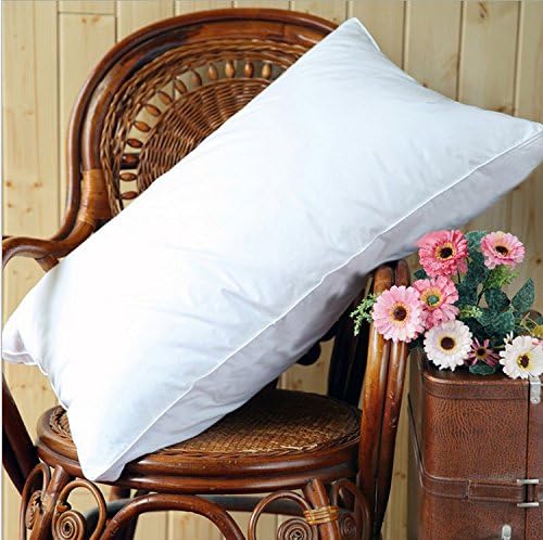 Amazon Com Shi Shang Queen Size Pure Canadian Goose Down Pillow