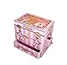 Enchantmints Ballet Class Musical Jewelry Box