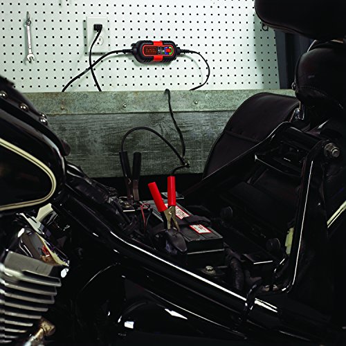 Купить BLACK+DECKER BM3B 6V and 12V Automatic Battery Charger