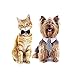 Shappy 3 Pieces Dog Cat Bow Tie Pet Costume Cat Wedding Bowtie Formal Dog Collar Adjustable Necktie Collar for Cat Small Puppy Grooming Accessories