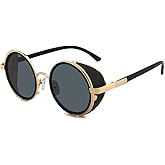 Technigadgets Rowan Steampunk Round Sunglasses Metal Vintage Retro Side Shield Gift For Men Women UV400 Outdoor Fashion Eyewear UV Protection Gold/Black