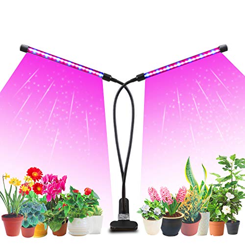 Amazon.ca Growing Lamps Patio, Lawn & Garden