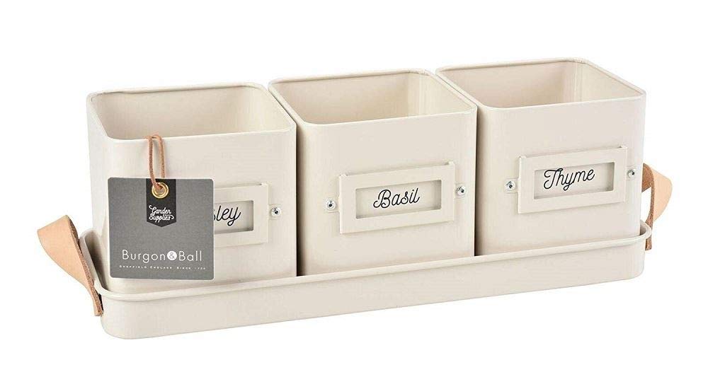 Burgon & Ball 3 Herb Pots in Leather Handled Tray, Stone