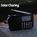 LCJ Portable Digital Solar and Battery Powered Emergency FM Radio Receiver with LED Flashlight