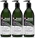 Avalon Organics - Glycerin Hand Soap Lavender - 12 Ounces (Pack of 3)